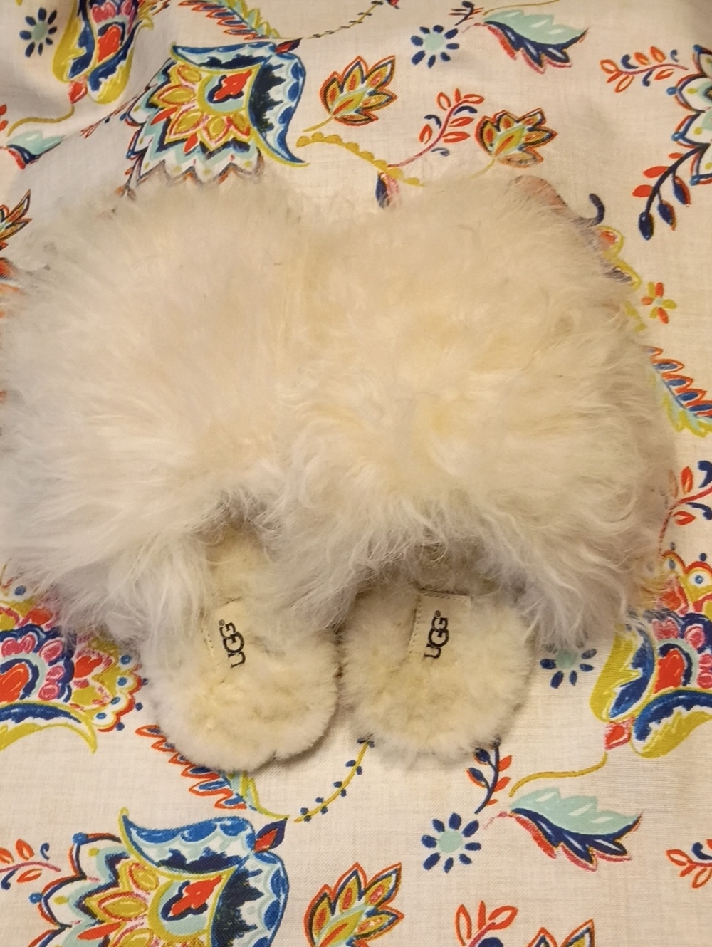 UGG Sz 7 Mules